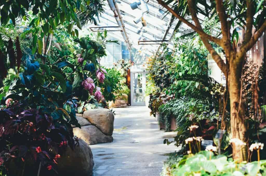 How to Find the Best Indoor Planters and Pots