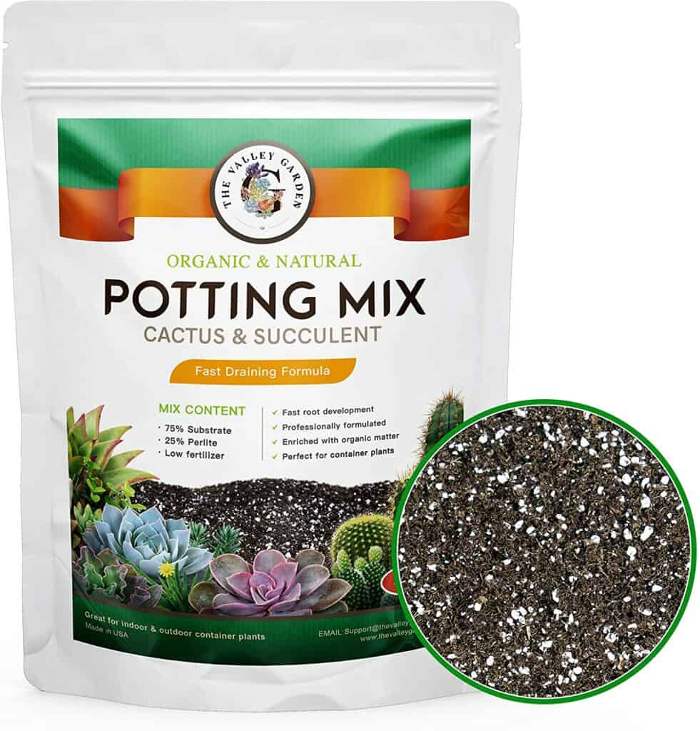 organic succulent potting mix