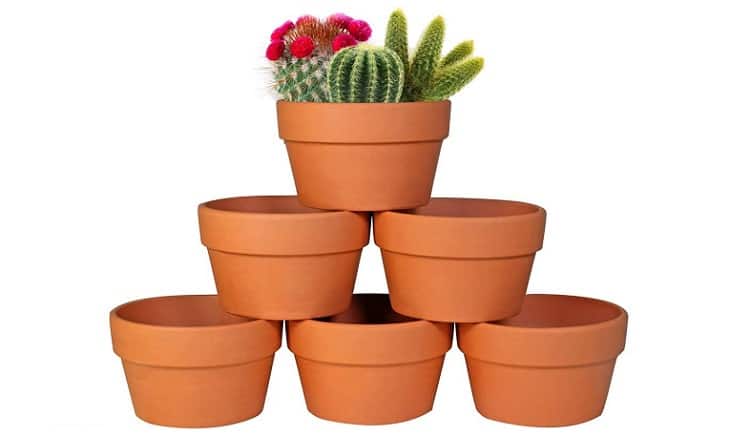 Mini Clay Pots