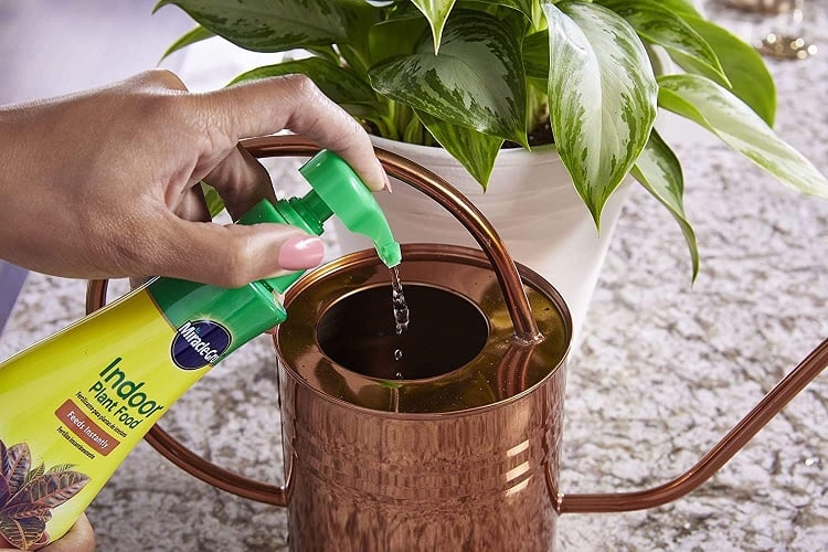 Miracle-Gro Indoor Plant Food