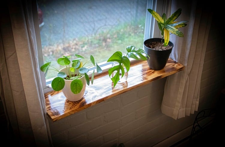 Most Versatile Window Sill Shelf