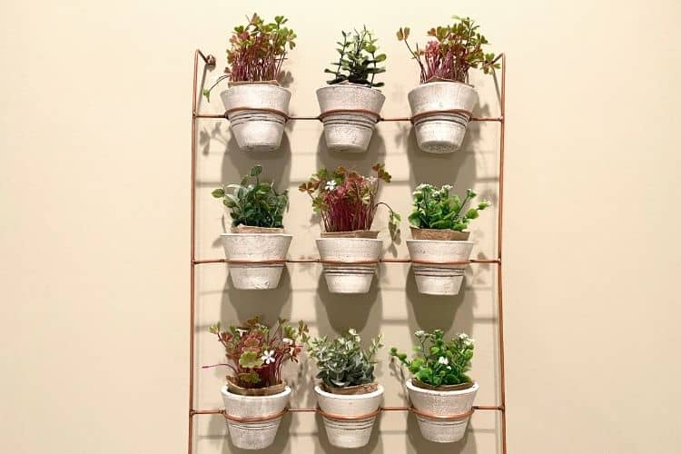 Plant Containers on a shelf