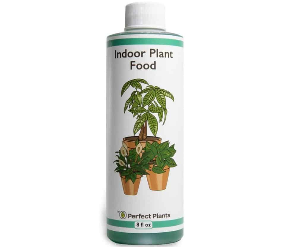 Indoor Plant Food