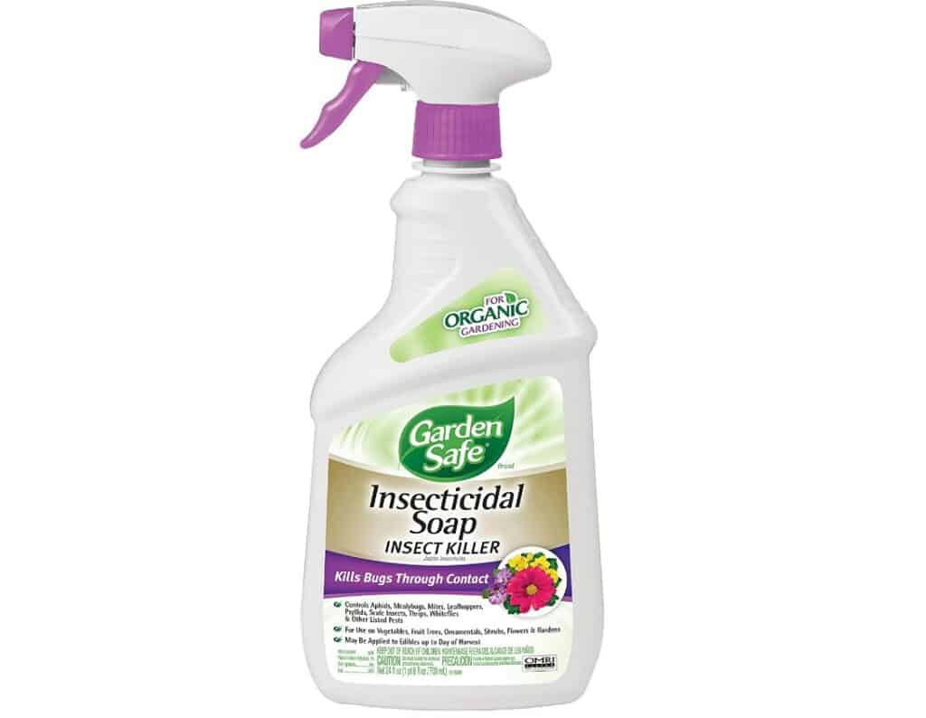 Insecticidal Soap