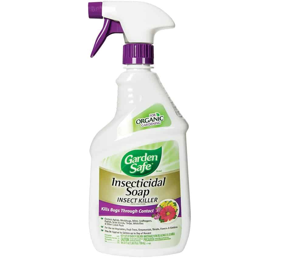 Soap Insect Killer