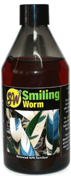 smiling worm