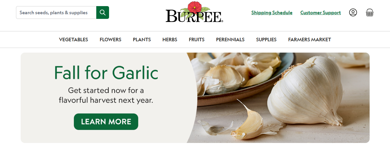 Alternatives to Burpee Seeds
