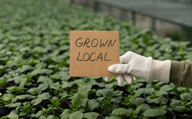 Climate & Growing Condition