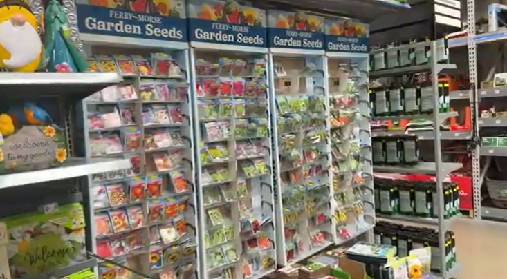 Seed Libraries