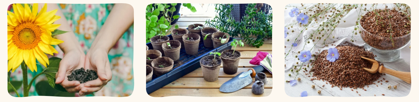 Epic Gardening