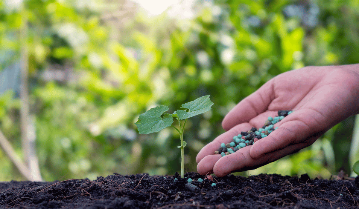 fertilizer