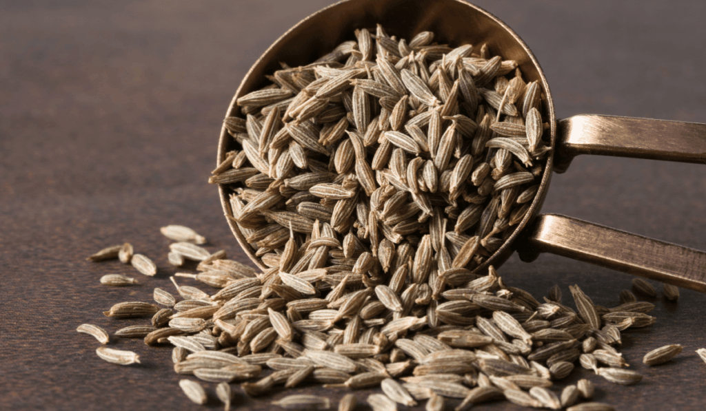 Old Seeds vs Fresh Seeds: How Long Do Garden Seeds Really Last?