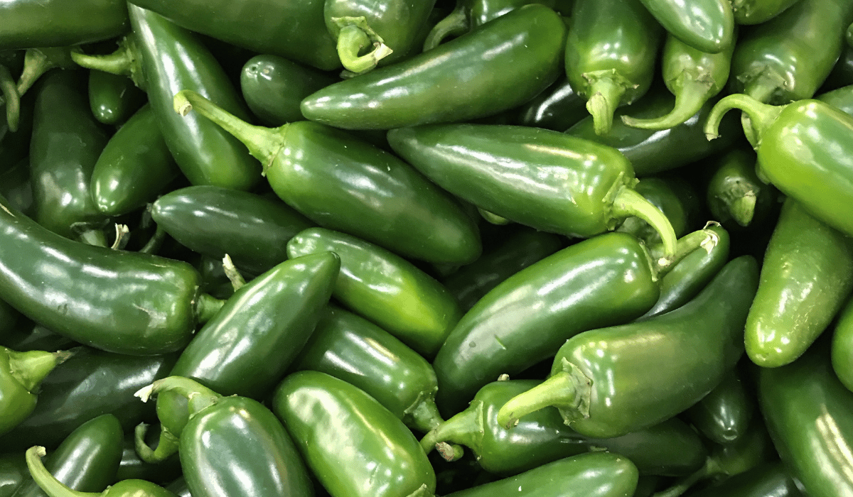 Jalapeño