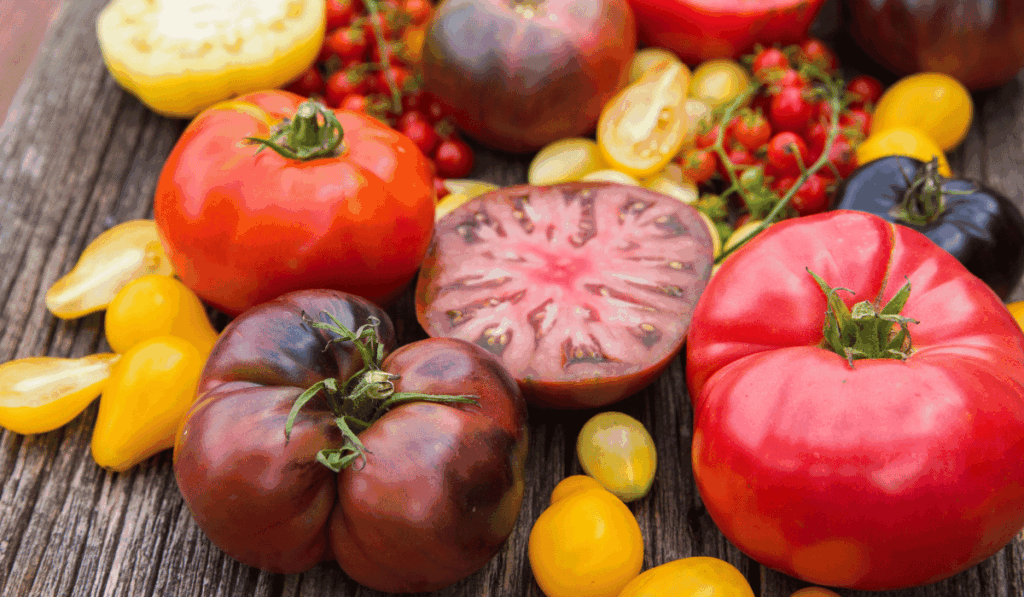 best vendor for heirloom tomato seeds